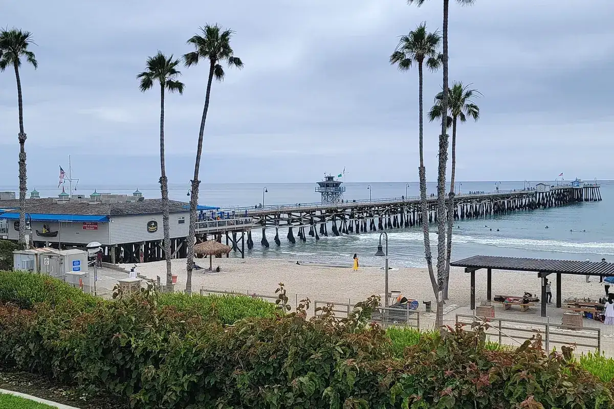 Palm trees, the San Clemente Pier and the beach seen from the bluff in San Clemente CA
