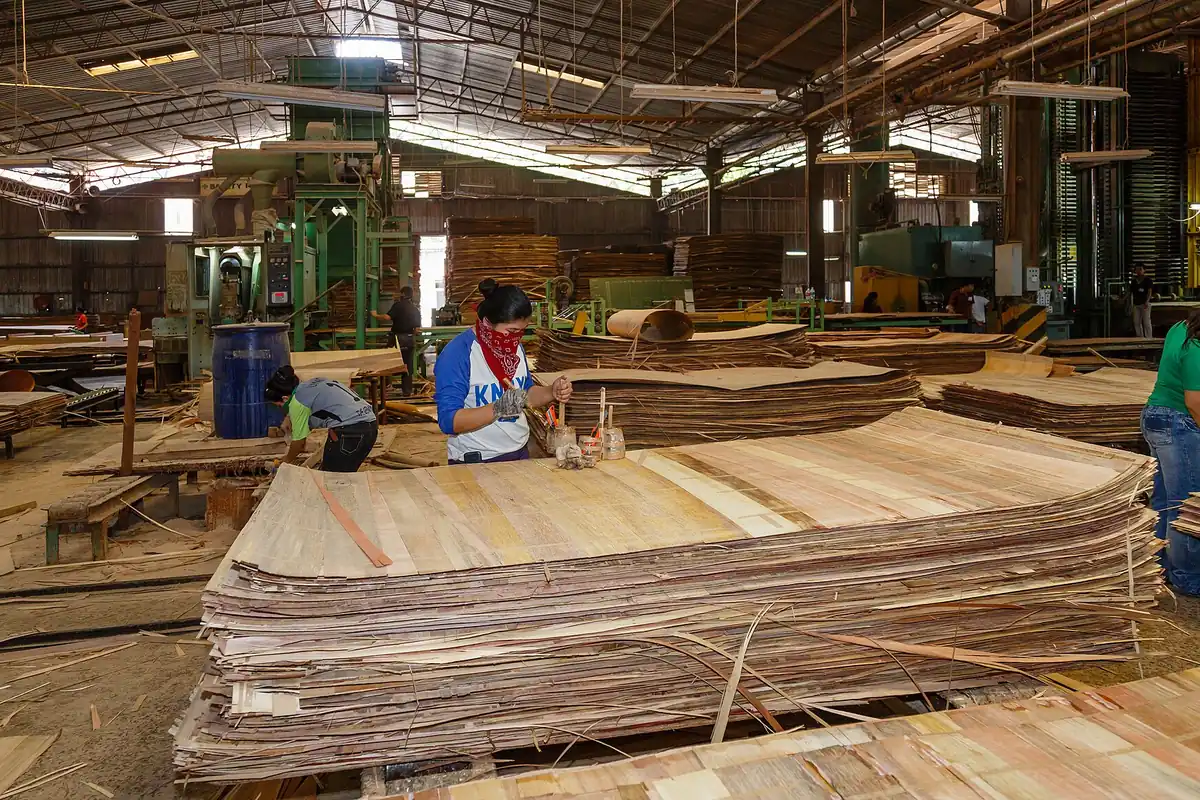 Workers handling veneer sheets in a plywood mill, the material that becomes cabinet boxes in San Clemente CA kitchens